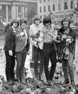 Byrds, The