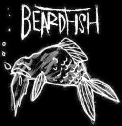 Beardfish prenehali z delovanjem