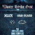 Winterstrike festival, sobota, 31.01.2015, Ravne na Koroškem (Kmkc Kompleks)!