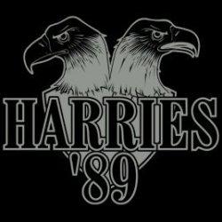 Ko je Harry srečal... The Harries