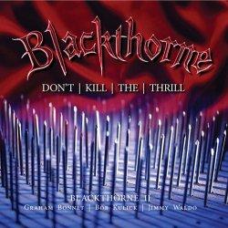 Na obzorju je izid drugega Blackthorne albuma!