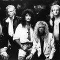 Predstavljamo vam: McAuley Schenker Group