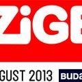 Sziget festival 2013 - 24. novih potrjenih imen! 