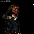 Whitesnake