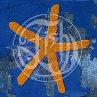 Fish: Thirteenth Star