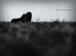 Jukič, Robert: Dobrote iz skrinje zarote