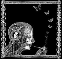 Soen: Cognitive